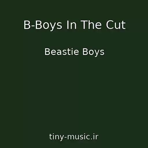 کاور آهنگ B-Boys In The Cut از Beastie Boys
