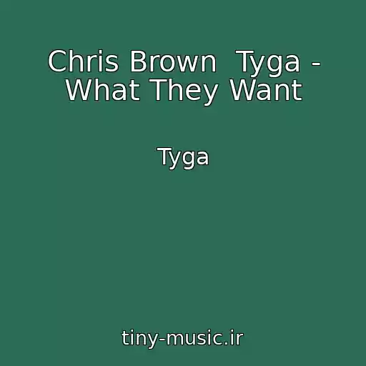 کاور آهنگ Chris Brown  Tyga - What They Want از Tyga