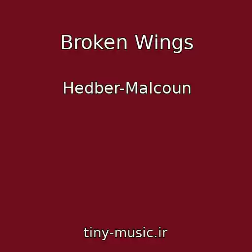 کاور آهنگ Broken Wings از Hedber-Malcoun