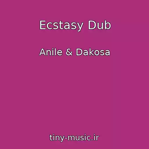 کاور آهنگ Ecstasy Dub از Anile & Dakosa