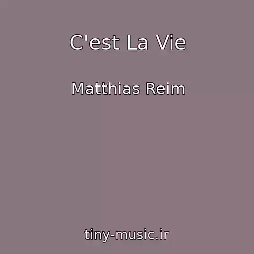 کاور آهنگ C'est La Vie از Matthias Reim