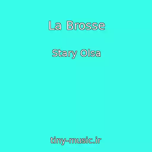 کاور آهنگ La Brosse از Stary Olsa
