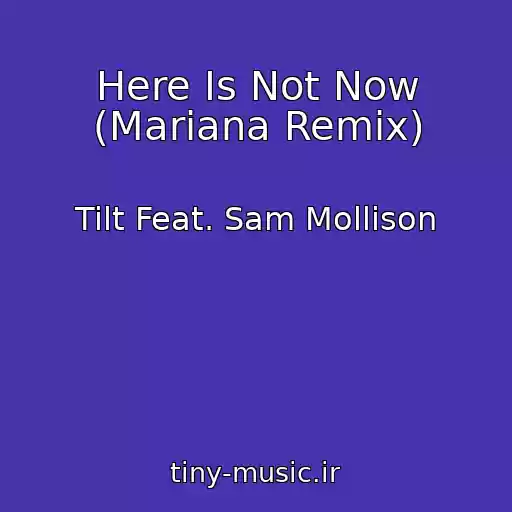 کاور آهنگ Here Is Not Now (Mariana Remix) از Tilt Feat. Sam Mollison