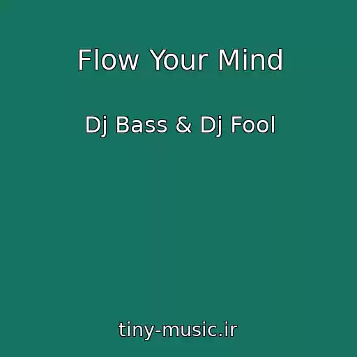 کاور آهنگ Flow Your Mind از Dj Bass & Dj Fool