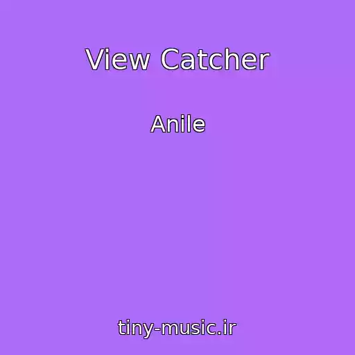 کاور آهنگ View Catcher از Anile