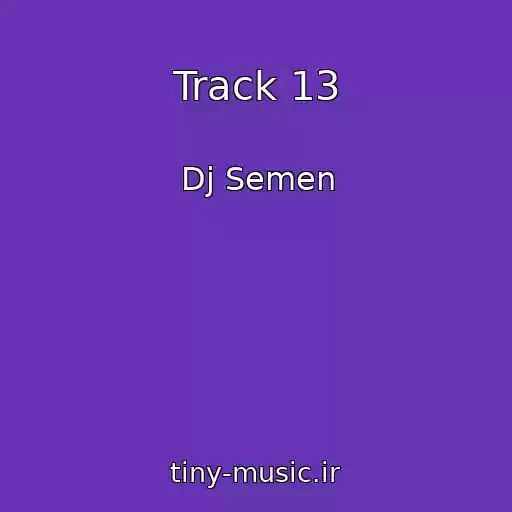 کاور آهنگ Track 13 از Dj Semen