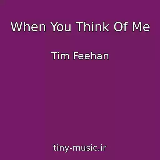 کاور آهنگ When You Think Of Me از Tim Feehan