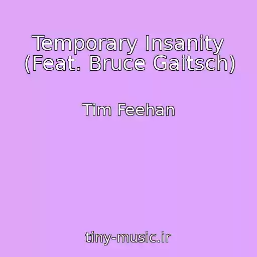 کاور آهنگ Temporary Insanity (Feat. Bruce Gaitsch) از Tim Feehan