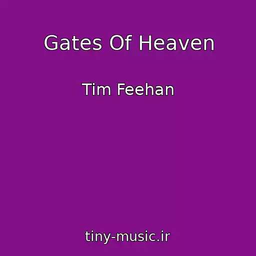 کاور آهنگ Gates Of Heaven از Tim Feehan
