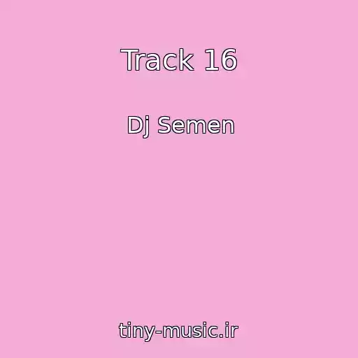 کاور آهنگ Track 16 از Dj Semen