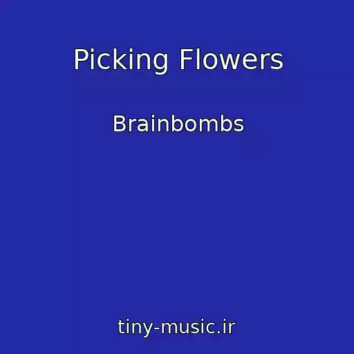 کاور آهنگ Picking Flowers از Brainbombs