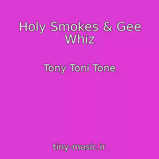 کاور آهنگ Holy Smokes & Gee Whiz از Tony Toni Tone