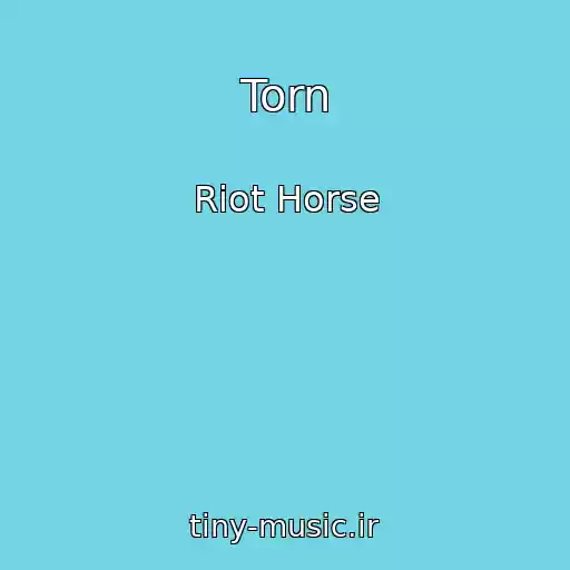 کاور آهنگ Torn از Riot Horse