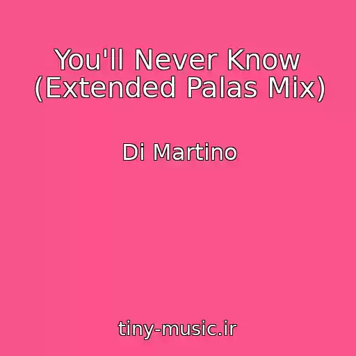 کاور آهنگ You'll Never Know (Extended Palas Mix) از Di Martino