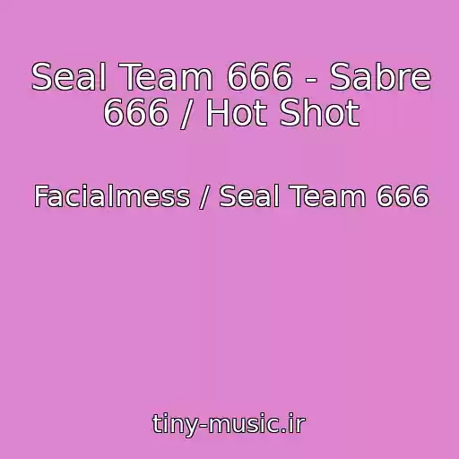 کاور آهنگ Seal Team 666 - Sabre 666 / Hot Shot از Facialmess / Seal Team 666