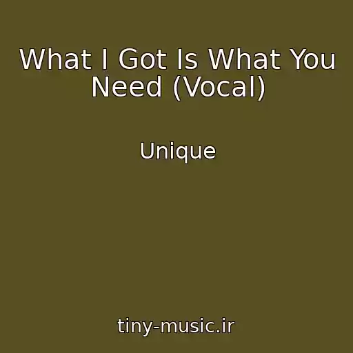 کاور آهنگ What I Got Is What You Need (Vocal) از Unique