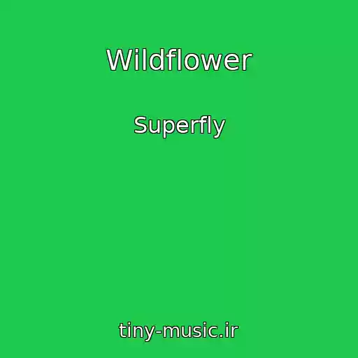 کاور آهنگ Wildflower از Superfly