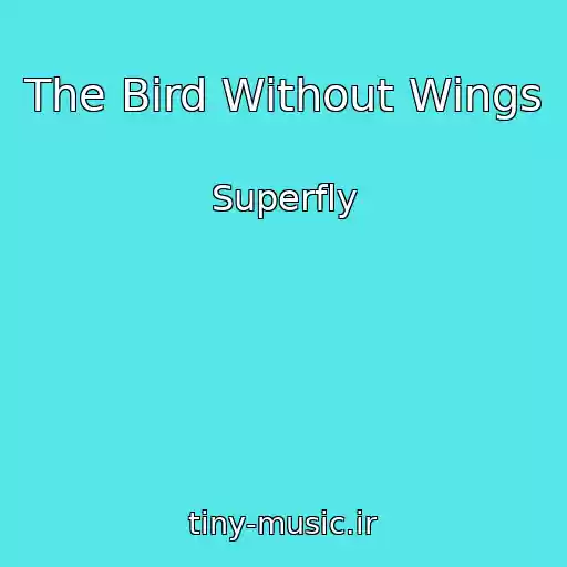 کاور آهنگ The Bird Without Wings از Superfly