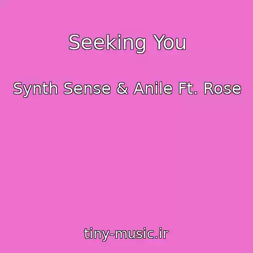 کاور آهنگ Seeking You از Synth Sense & Anile Ft. Rose