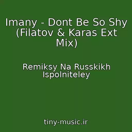 کاور آهنگ Imany - Dont Be So Shy (Filatov & Karas Ext Mix) از Remiksy Na Russkikh Ispolniteley