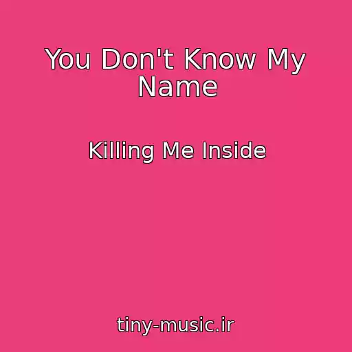 کاور آهنگ You Don't Know My Name از Killing Me Inside
