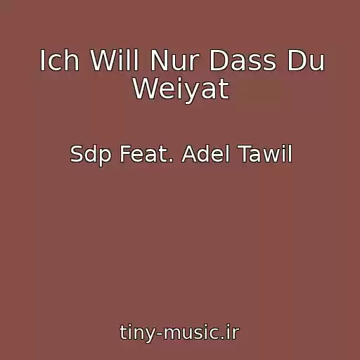 کاور آهنگ Ich Will Nur Dass Du Weiyat از Sdp Feat. Adel Tawil