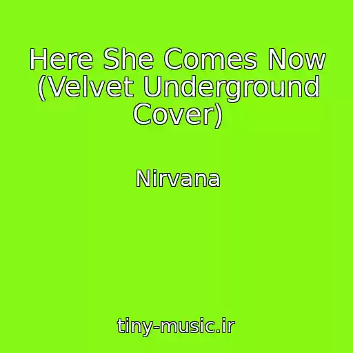 کاور آهنگ Here She Comes Now (Velvet Underground Cover) از Nirvana