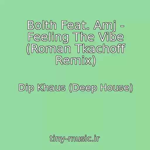 کاور آهنگ Bolth Feat. Amj - Feeling The Vibe (Roman Tkachoff Remix) از Dip Khaus (Deep House)