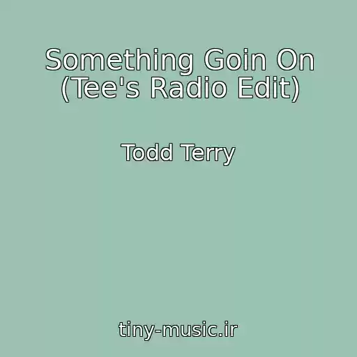 کاور آهنگ Something Goin On (Tee's Radio Edit) از Todd Terry