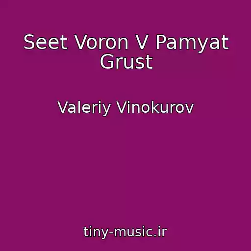 کاور آهنگ Seet Voron V Pamyat Grust از Valeriy Vinokurov