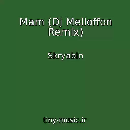 کاور آهنگ Mam (Dj Melloffon Remix) از Skryabin