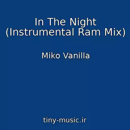 کاور آهنگ In The Night (Instrumental Ram Mix) از Miko Vanilla