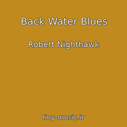 کاور آهنگ Back Water Blues از Robert Nighthawk