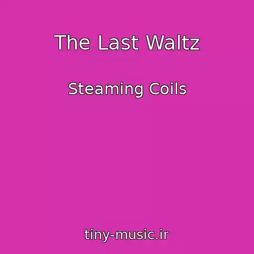 کاور آهنگ The Last Waltz از Steaming Coils