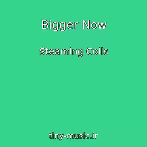 کاور آهنگ Bigger Now از Steaming Coils