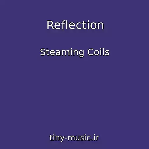کاور آهنگ Reflection از Steaming Coils