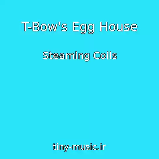کاور آهنگ T-Bow's Egg House از Steaming Coils