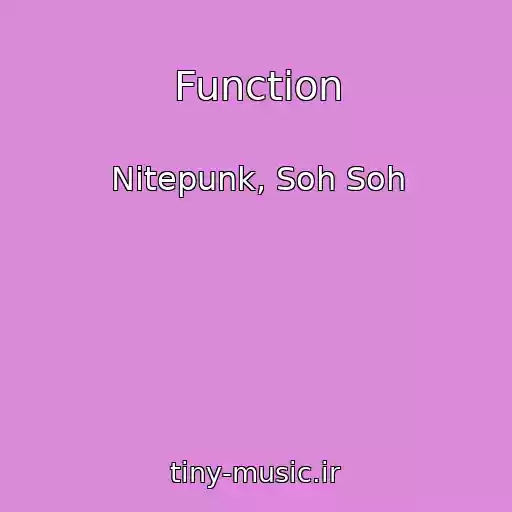 کاور آهنگ Function از Nitepunk, Soh Soh