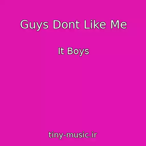 کاور آهنگ Guys Dont Like Me از It Boys