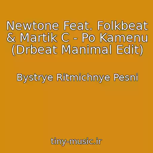 کاور آهنگ Newtone Feat. Folkbeat & Martik C - Po Kamenu (Drbeat Manimal Edit) از Bystrye Ritmichnye Pesni