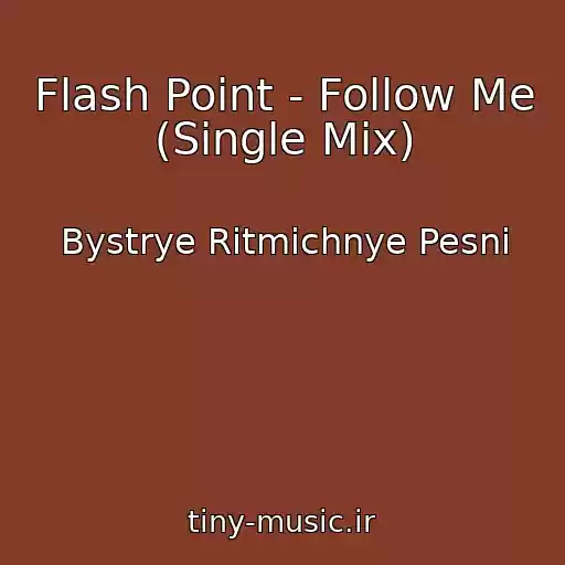 کاور آهنگ Flash Point - Follow Me (Single Mix) از Bystrye Ritmichnye Pesni