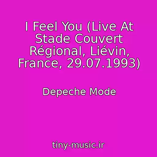 کاور آهنگ I Feel You (Live At Stade Couvert Régional, Liévin, France, 29.07.1993) از Depeche Mode