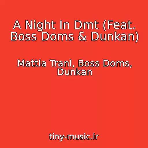 کاور آهنگ A Night In Dmt (Feat. Boss Doms & Dunkan) از Mattia Trani, Boss Doms, Dunkan