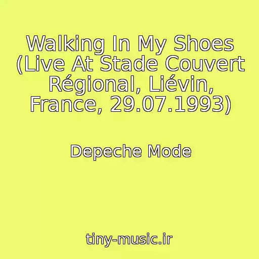 کاور آهنگ Walking In My Shoes (Live At Stade Couvert Régional, Liévin, France, 29.07.1993) از Depeche Mode