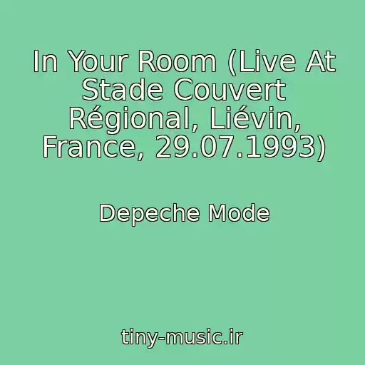کاور آهنگ In Your Room (Live At Stade Couvert Régional, Liévin, France, 29.07.1993) از Depeche Mode