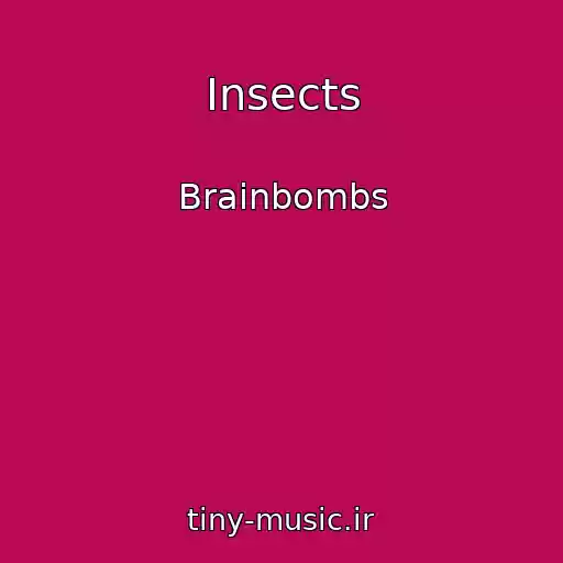کاور آهنگ Insects از Brainbombs