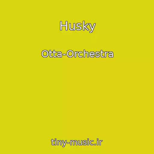 کاور آهنگ Husky از Otta-Orchestra