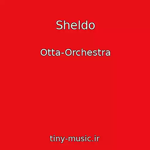 کاور آهنگ Sheldo از Otta-Orchestra