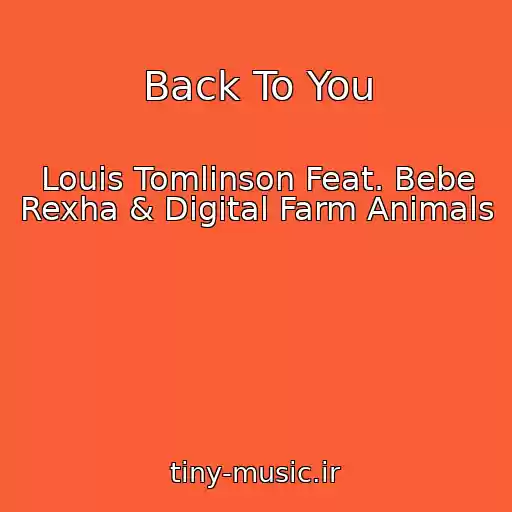 کاور آهنگ Back To You از Louis Tomlinson Feat. Bebe Rexha & Digital Farm Animals