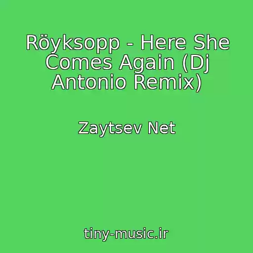 کاور آهنگ Röyksopp - Here She Comes Again (Dj Antonio Remix) از Zaytsev Net